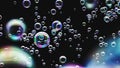 Soap Bubbles against a Minimalist Black Background