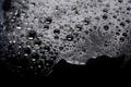 Soap bubbles on a black Royalty Free Stock Photo