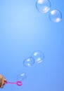 Soap bubbles on blue background