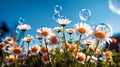 Soap bubbles, bokeh. Large bright colored flowers. Against the background of the blue sky Royalty Free Stock Photo