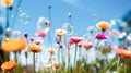 Soap bubbles, bokeh. Large bright colored flowers. Against the background of the blue sky Royalty Free Stock Photo