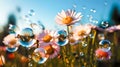 Soap bubbles, bokeh. Large bright colored flowers. Against the background of the blue sky Royalty Free Stock Photo