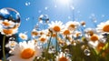 Soap bubbles, bokeh. Large bright colored flowers. Against the background of the blue sky Royalty Free Stock Photo