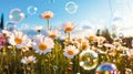 Soap bubbles, bokeh. Large bright colored flowers. Against the background of the blue sky Royalty Free Stock Photo