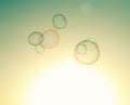 Soap bubbles floating in the air Royalty Free Stock Photo