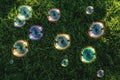 Soap bubbles floating on green grass in summer sunlight Royalty Free Stock Photo