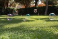 Soap bubbles floating on green grass in summer sunlight Royalty Free Stock Photo