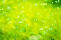 Soap bubbles with green background Royalty Free Stock Photo