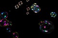 Soap bubbles isolated on a black background