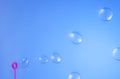 Soap bubbles on blue background