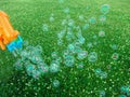 Soap bubbles over meadow