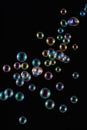 Soap Bubbles with Rainbow Reflection