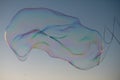 Soap bubbles with rainbow reflection. Buble at the blue sky. Bubble party. Royalty Free Stock Photo