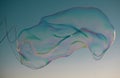 Soap bubbles with rainbow reflection. Buble at the blue sky. Bubble party. Royalty Free Stock Photo