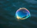 Soap bubbles on the water surface Royalty Free Stock Photo