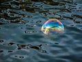 Soap bubbles on the water surface Royalty Free Stock Photo