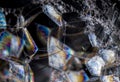 Soap foam bubbles macro Royalty Free Stock Photo