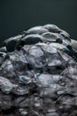 Soap foam bubbles macro Royalty Free Stock Photo