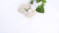 Soap with jasmine on a white background and fresh flowers. Beauty and care products in the spa. Free space for text.