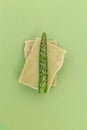 Soap natural and a leaf of aloe vera on a green background. Monochrome. Minimal. Cleaning