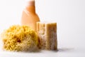 Soap, natural sponge and shower gel Royalty Free Stock Photo