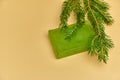 Soap with needles branches on the white background