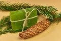 Soap with needles branches on the white background