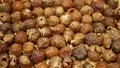 Soap nuts Indian soapberry or washnut, Sapindus mukorossi reetha or ritha from the soap tree shells are used to wash