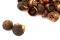 Soap Nuts Royalty Free Stock Photo