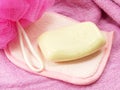 Soap and plstic pink bath puff Royalty Free Stock Photo
