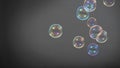 Soap or shampoo bubbles floating in the air by wind blow Royalty Free Stock Photo