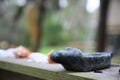 Soapstone candle holder shaped like a manatee