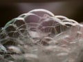 Soapy bubbles foam. Royalty Free Stock Photo