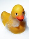 Soapy rubber duckie