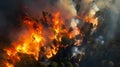 Nature\'s Inferno: A sweeping aerial perspective captures the destructive force of a forest fire, engulfing the serene landscape