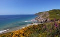 Soar mill cove , Devon Royalty Free Stock Photo