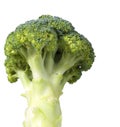 Soaring broccoli isolated Royalty Free Stock Photo