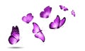 Soaring colored butterflies isolated on a white background