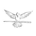 Soaring Dove Clutching Staff Front Drawing Royalty Free Stock Photo