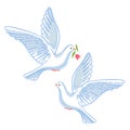 Soaring dove with flower Royalty Free Stock Photo
