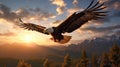 A soaring eagle flying