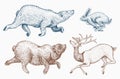 Soaring Hare Rabbit northern brown Bear Deer. Set of Wild forest animal jumping up. Vintage style. Engraved hand drawn