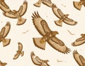 Soaring Hawks - A Pattern of Birds in Flight Royalty Free Stock Photo