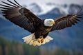 Soaring Majestic eagle. Generate Ai Royalty Free Stock Photo