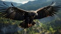 the soaring motion of a condor, showcasing its wide wingspan