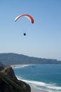 Soaring over La Jolla