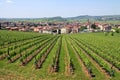 Soave in Italy, famous for its wine and grapes