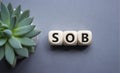 SOB - Shortness of breath symbol. Wooden cubes with words SOB. Beautiful grey background with succulent plant. Medical and SOB