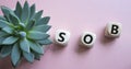 SOB - Shortness of breath symbol. Wooden cubes with words SOB. Beautiful pink background with succulent plant. Medical and SOB