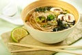 Soba Noodle and Kale Soup Royalty Free Stock Photo